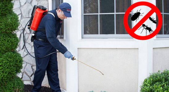Bağlar Kemirgen İlaçlama böcek ilaçlama ve haşere kontrolü — ilaclama-tr.com